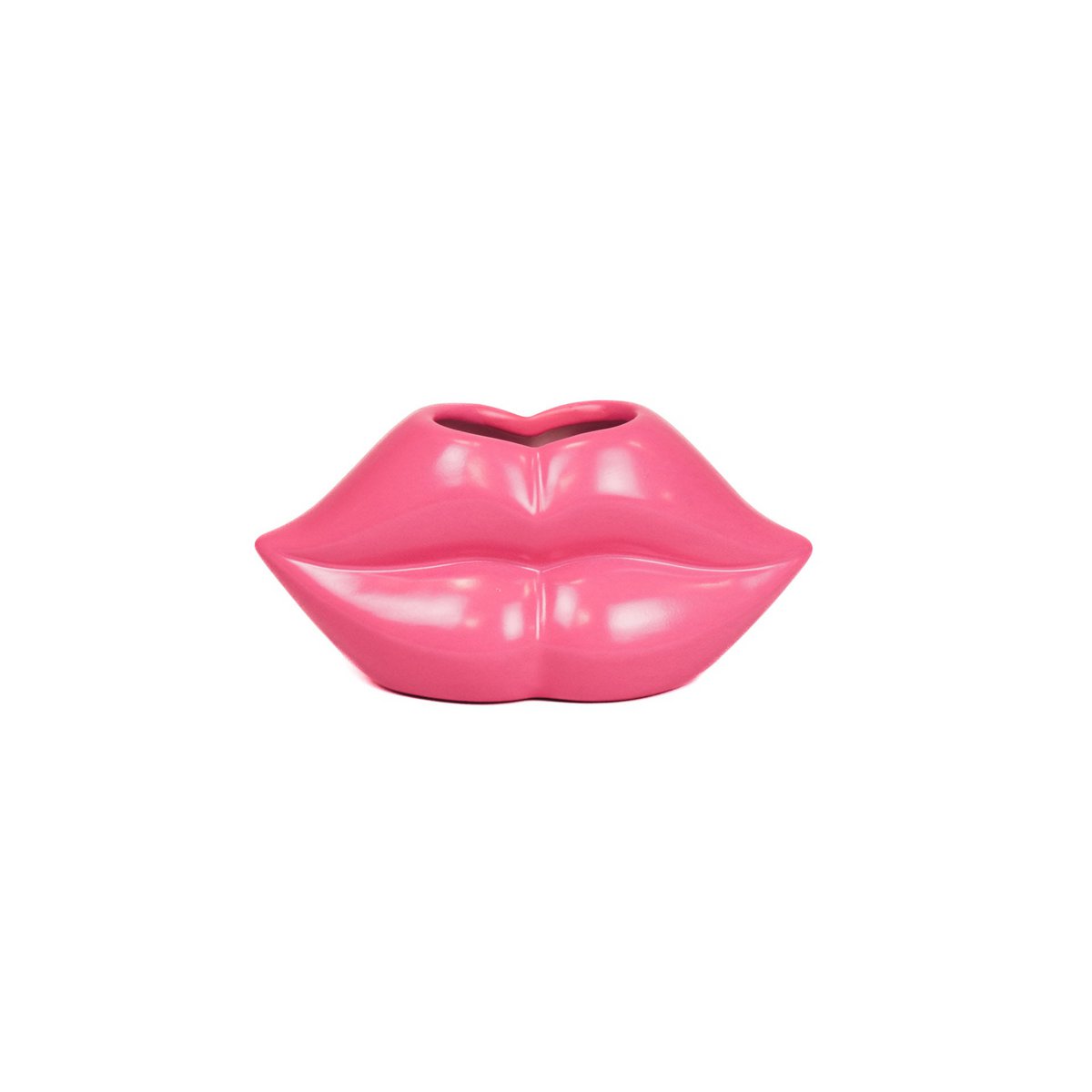 Vaas Lip Roze | Housevitamin